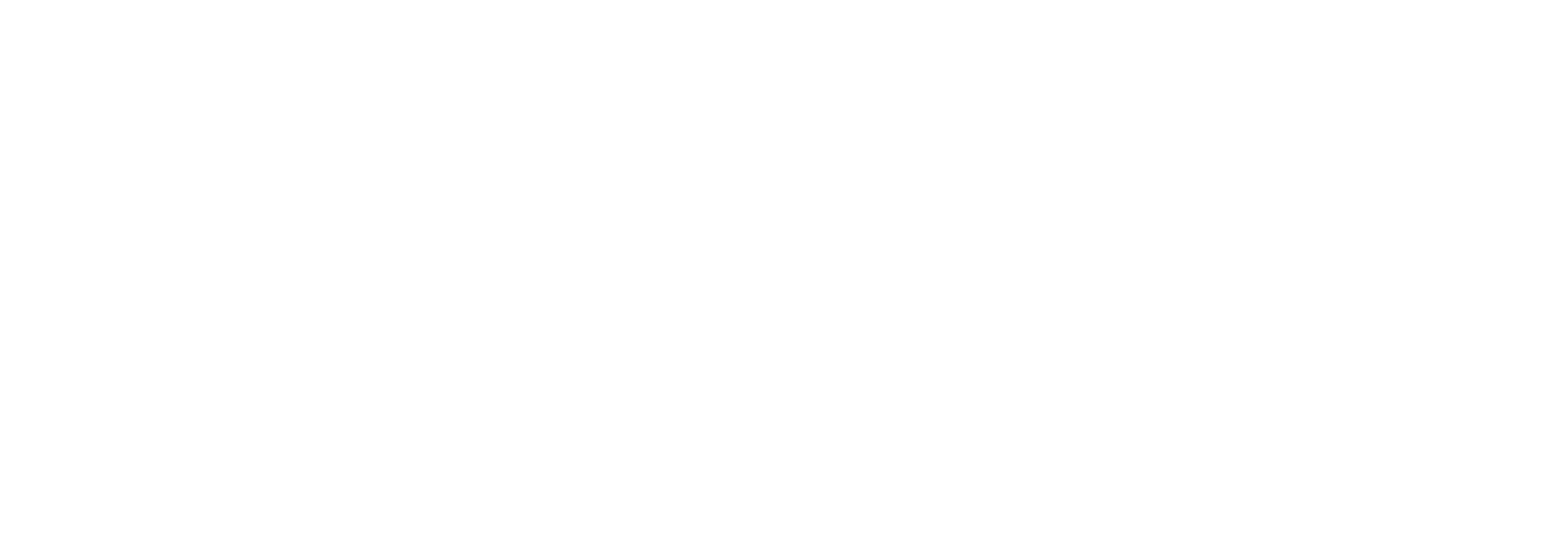 FwP main logo rectangle for dark background - mono